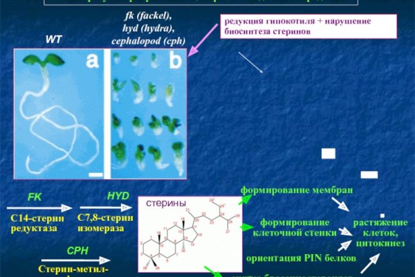 Кракен даркнет официальный сайт