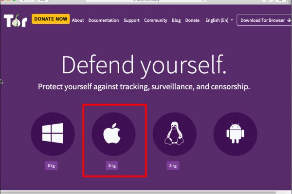 Кракен через тор браузер