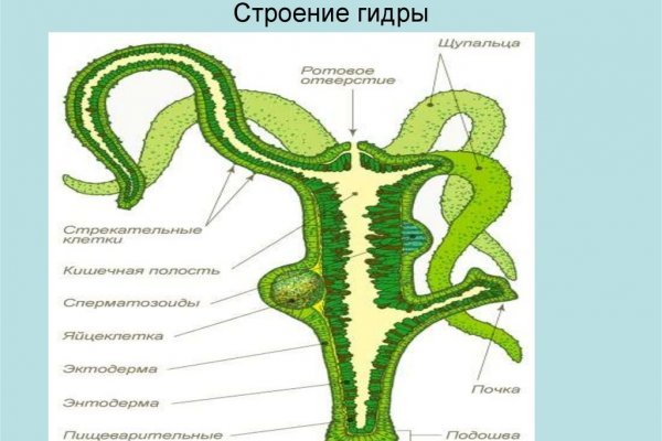 Кракен сайт вход официальный зеркало