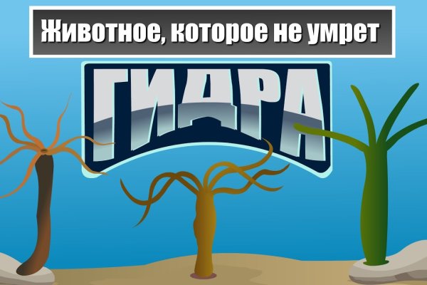 Kraken вход зеркало